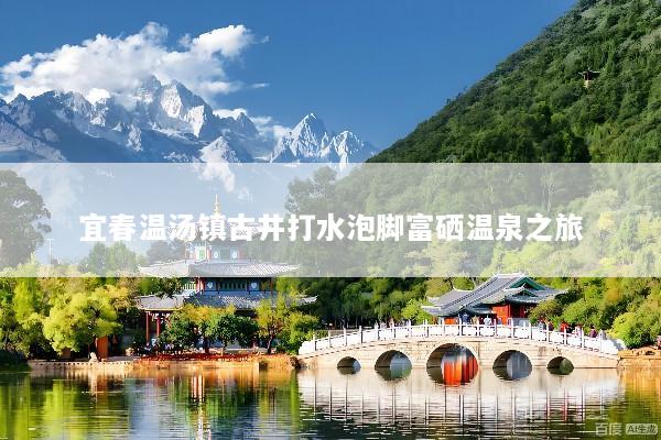 宜春温汤镇古井打水泡脚富硒温泉之旅