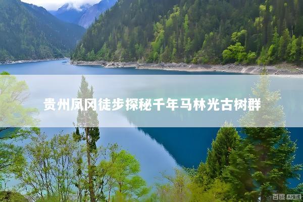 贵州凤冈徒步探秘千年马林光古树群