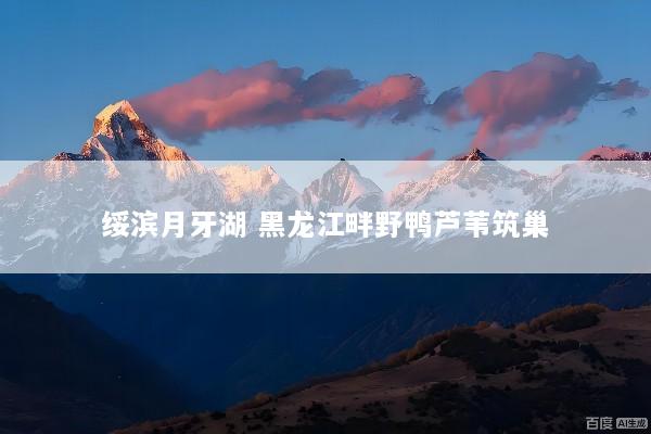 绥滨月牙湖 黑龙江畔野鸭芦苇筑巢