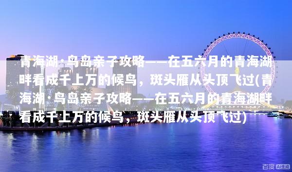 青海湖·鸟岛亲子攻略——在五六月的青海湖畔看成千上万的候鸟，斑头雁从头顶飞过(青海湖·鸟岛亲子攻略——在五六月的青海湖畔看成千上万的候鸟，斑头雁从头顶飞过)