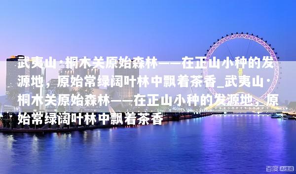 文章配图