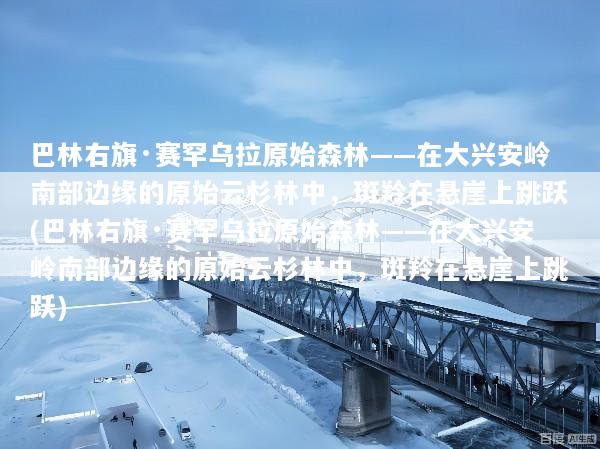 巴林右旗·赛罕乌拉原始森林——在大兴安岭南部边缘的原始云杉林中，斑羚在悬崖上跳跃(巴林右旗·赛罕乌拉原始森林——在大兴安岭南部边缘的原始云杉林中，斑羚在悬崖上跳跃)