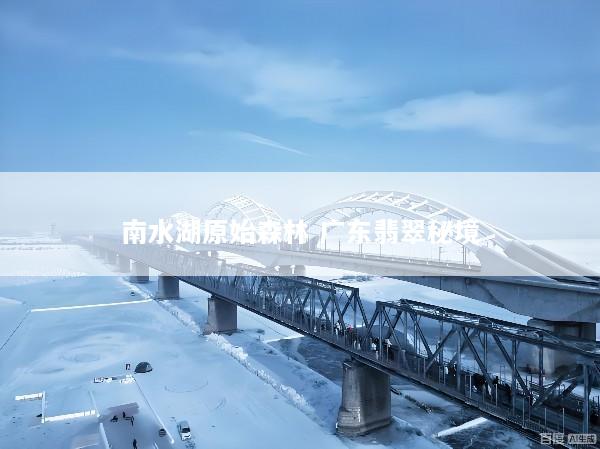 南水湖原始森林 广东翡翠秘境