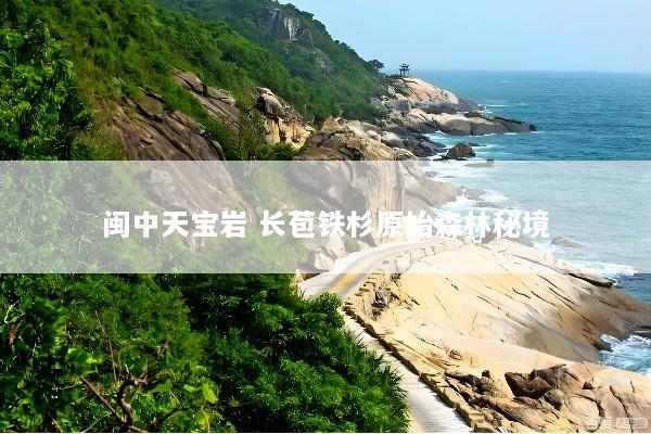 闽中天宝岩 长苞铁杉原始森林秘境