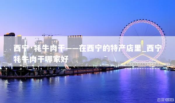 西宁·牦牛肉干——在西宁的特产店里_西宁牦牛肉干哪家好