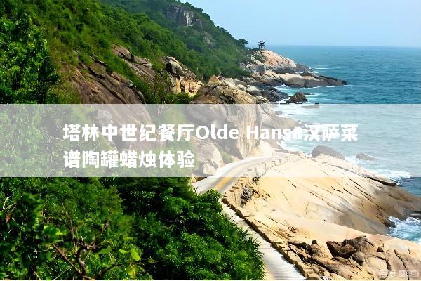 塔林中世纪餐厅Olde Hansa汉萨菜谱陶罐蜡烛体验