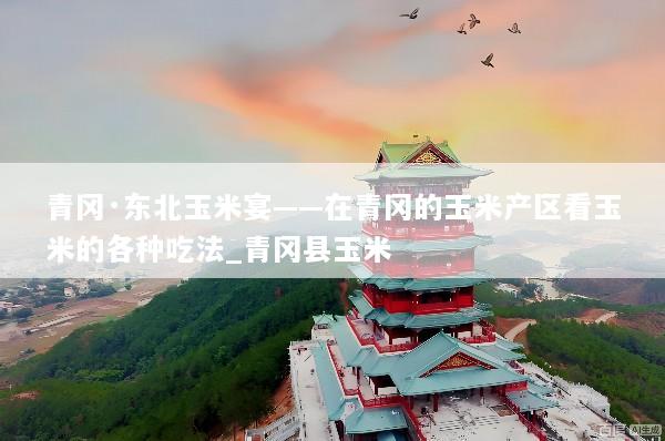 青冈·东北玉米宴——在青冈的玉米产区看玉米的各种吃法_青冈县玉米