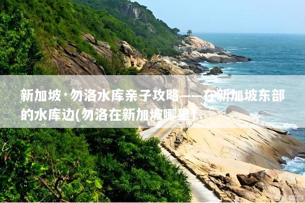 新加坡·勿洛水库亲子攻略——在新加坡东部的水库边(勿洛在新加坡哪里)