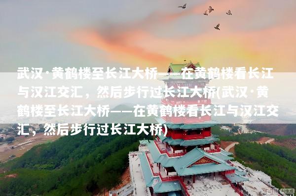 武汉·黄鹤楼至长江大桥——在黄鹤楼看长江与汉江交汇，然后步行过长江大桥(武汉·黄鹤楼至长江大桥——在黄鹤楼看长江与汉江交汇，然后步行过长江大桥)