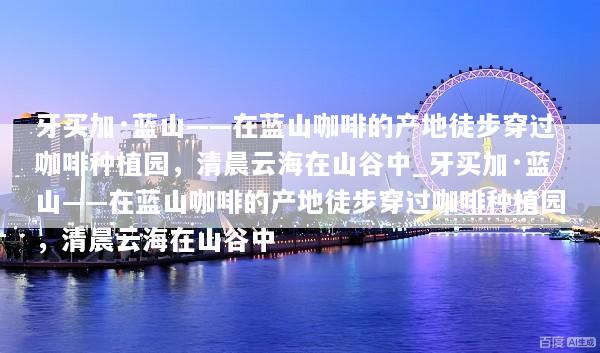 牙买加·蓝山——在蓝山咖啡的产地徒步穿过咖啡种植园，清晨云海在山谷中_牙买加·蓝山——在蓝山咖啡的产地徒步穿过咖啡种植园，清晨云海在山谷中