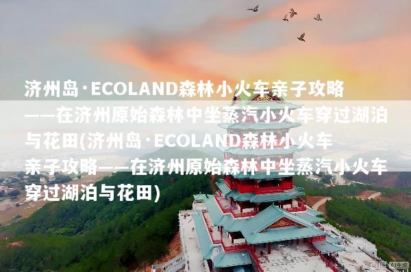 济州岛·ECOLAND森林小火车亲子攻略——在济州原始森林中坐蒸汽小火车穿过湖泊与花田(济州岛·ECOLAND森林小火车亲子攻略——在济州原始森林中坐蒸汽小火车穿过湖泊与花田)